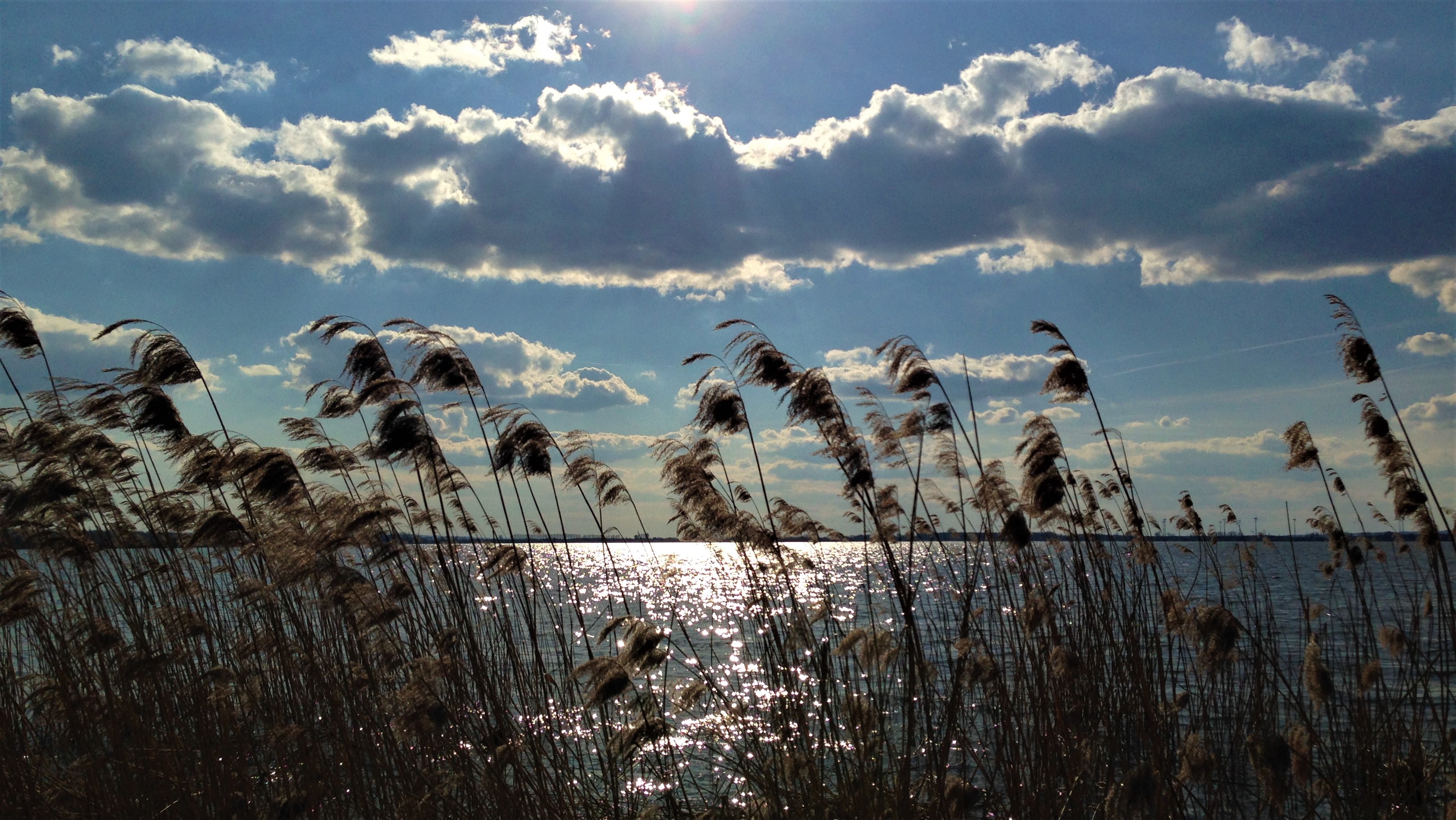 HEIMAT 11